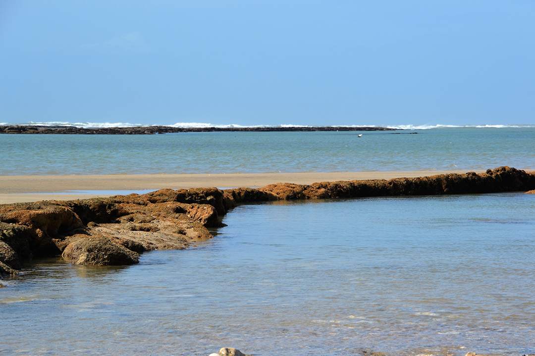 Maison de vacances 200 mètres de la plage Oléron